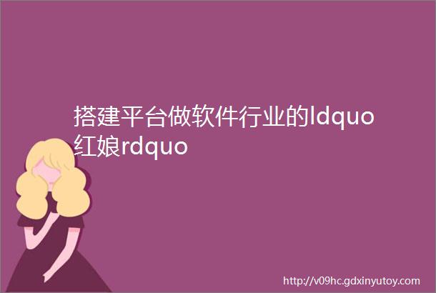 搭建平台做软件行业的ldquo红娘rdquo