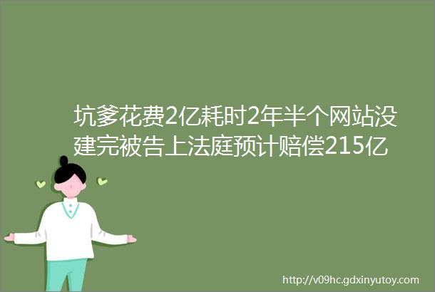 坑爹花费2亿耗时2年半个网站没建完被告上法庭预计赔偿215亿