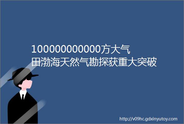 100000000000方大气田渤海天然气勘探获重大突破