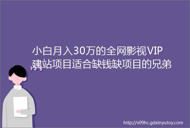 小白月入30万的全网影视VIP建站项目适合缺钱缺项目的兄弟